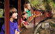Walhalla Goldfields Railway - thumb 1