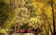 Walhalla Goldfields Railway - thumb 3