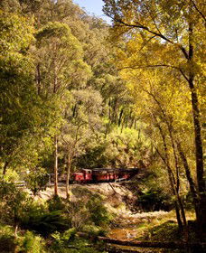 Walhalla Goldfields Railway - Accommodation VIC 3