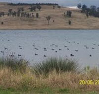 Lake Liddell Recreation Area - Accommodation VIC