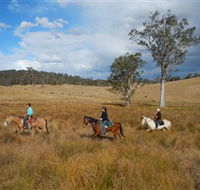 Chapman Valley Horse Riding - Accommodation VIC