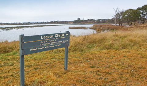 Lagoon Circuit Walking Track - Accommodation VIC 0