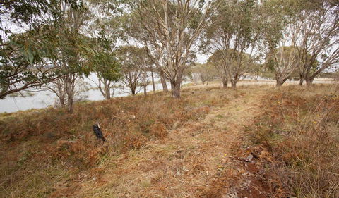 Lagoon Circuit Walking Track - Accommodation VIC 1