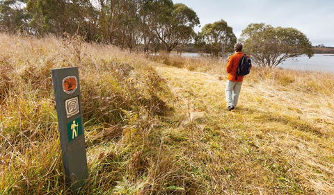 Lagoon Circuit Walking Track - Accommodation VIC 2