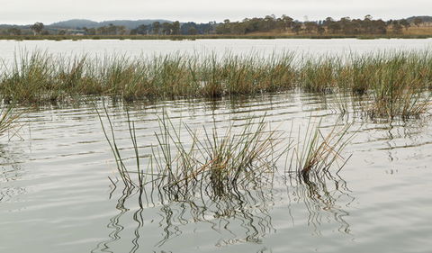Lagoon Circuit Walking Track - Accommodation VIC 3