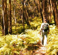 Federal Pass - Accommodation VIC