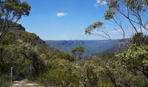 Mount Banks Road Cycle Route - Accommodation VIC 2