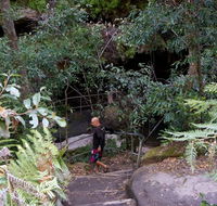 Leura Cascades Fern Bower - Accommodation VIC