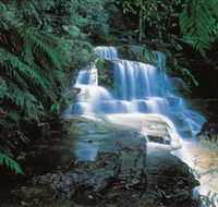 Leura Cascades - Accommodation VIC