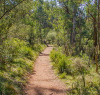 Mares Forest Creek walking track - Accommodation VIC