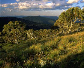Namadgi National Park And Visitors Centre - Accommodation VIC 2