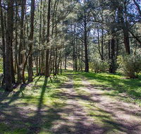 Wombeyan Waterfall walking track - Accommodation VIC