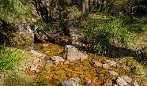 Wombeyan Waterfall Walking Track - Accommodation VIC 1