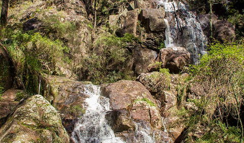 Wombeyan Waterfall Walking Track - Accommodation VIC 3