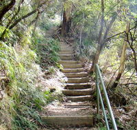 Nature track - Accommodation VIC