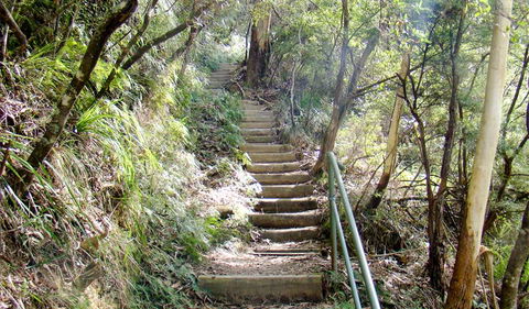 Nature Track - Accommodation VIC 0