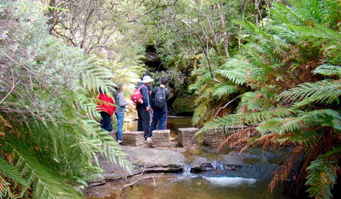 Nature Track - Accommodation VIC 1