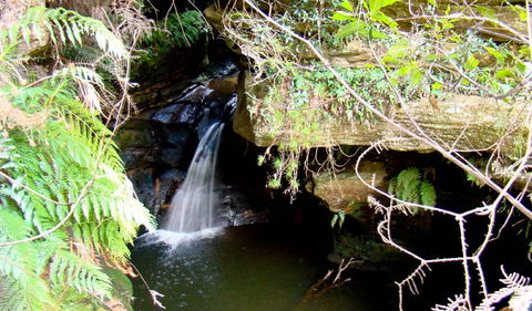 Nature Track - Accommodation VIC 2