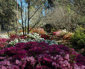 Wildwood Garden - Accommodation VIC 2