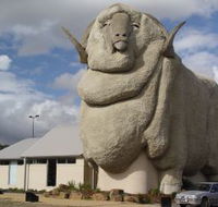 Big Merino - Accommodation VIC