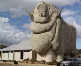 Big Merino - Accommodation VIC 0