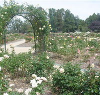 Victoria Park Rose Garden - Accommodation VIC