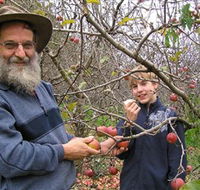 Pine Crest Orchard - Accommodation VIC