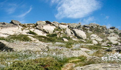 Mount Stillwell Walk - Accommodation VIC 1