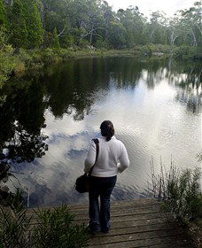 Boonoo Boonoo Falls National Park - Accommodation VIC 1