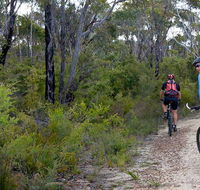 McMahon's Point ride - Wentworth Falls - Accommodation VIC