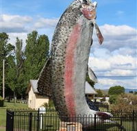 Big Trout - Accommodation VIC