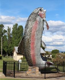 Big Trout - Accommodation VIC 0