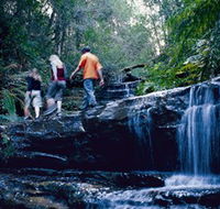 South Lawson Waterfall Circuit - Accommodation VIC