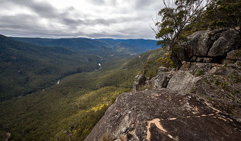Mann River Nature Reserve - Accommodation VIC 2