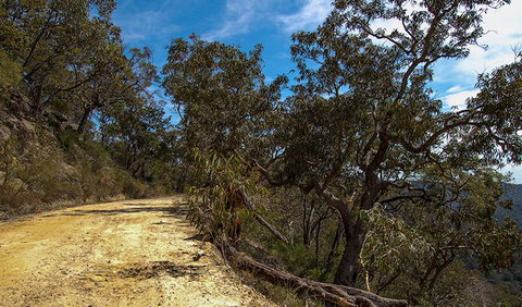 Parr State Conservation Area - Accommodation VIC 0