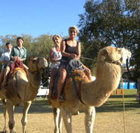 Calamunnda Camel Farm  - Accommodation VIC