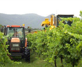 Stomp! Wines - Accommodation VIC 8