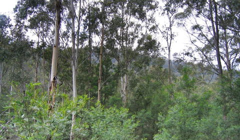 Bangadilly National Park - Accommodation VIC 1
