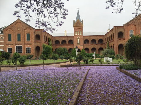 Sacred Spaces At The Sisters Of Mercy Convent - Accommodation VIC 12
