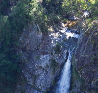 Lyrebird Falls walking track - Accommodation VIC