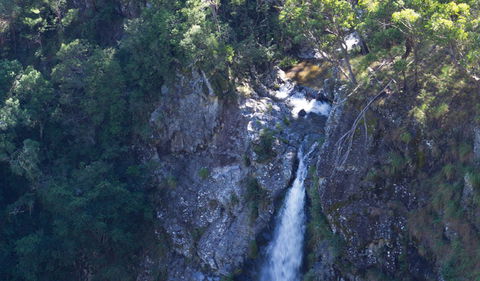Lyrebird Falls Walking Track - Accommodation VIC 0