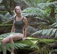 Barrington Tops National Park - Honeysuckle Forest Track - Accommodation VIC