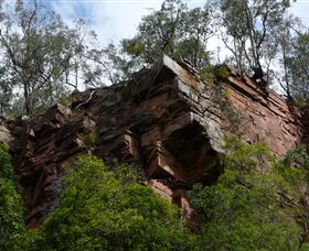 Mitchell River Walking Track - Accommodation VIC 2