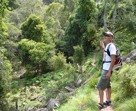 Mitchell River Walking Track - Accommodation VIC 1