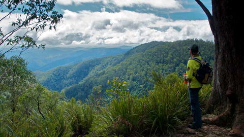 Barrington Tops National Park - Accommodation VIC 3