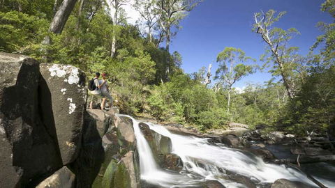 Barrington Tops National Park - Accommodation VIC 2