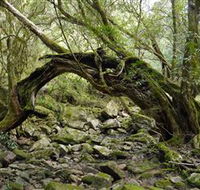 Mitchell River National Park - Accommodation VIC