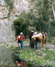 Yarramba Horse Riding - Accommodation VIC 0