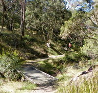 Wollomombi walking track - Accommodation VIC
