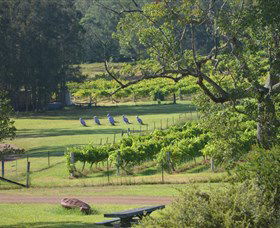 Wollombi Wines - Accommodation VIC 8